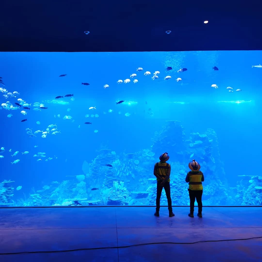 Nuevo acuario de Mazatlán — 1