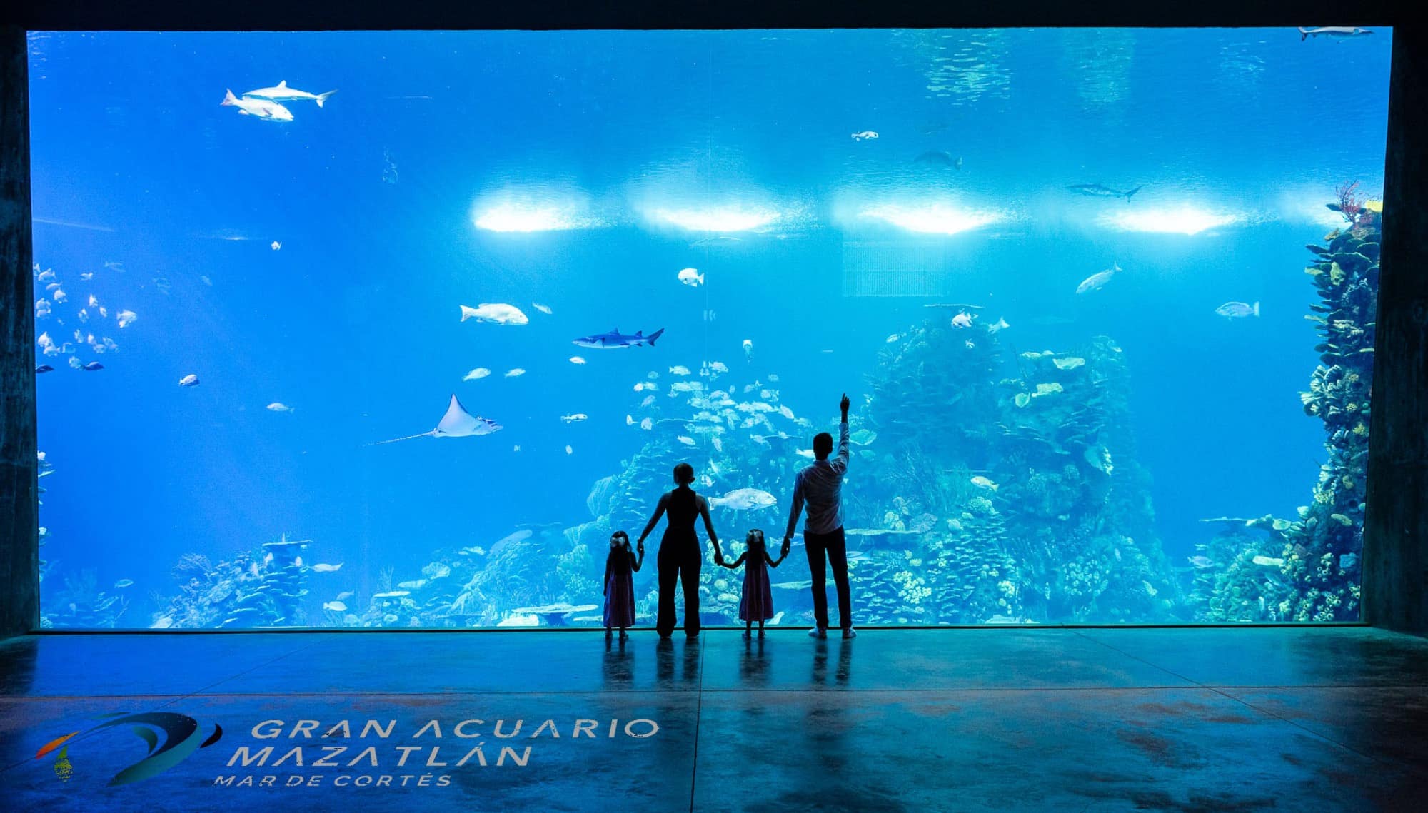 Vista interior del Gran Acuario de Mazatlán con su tanque principal.